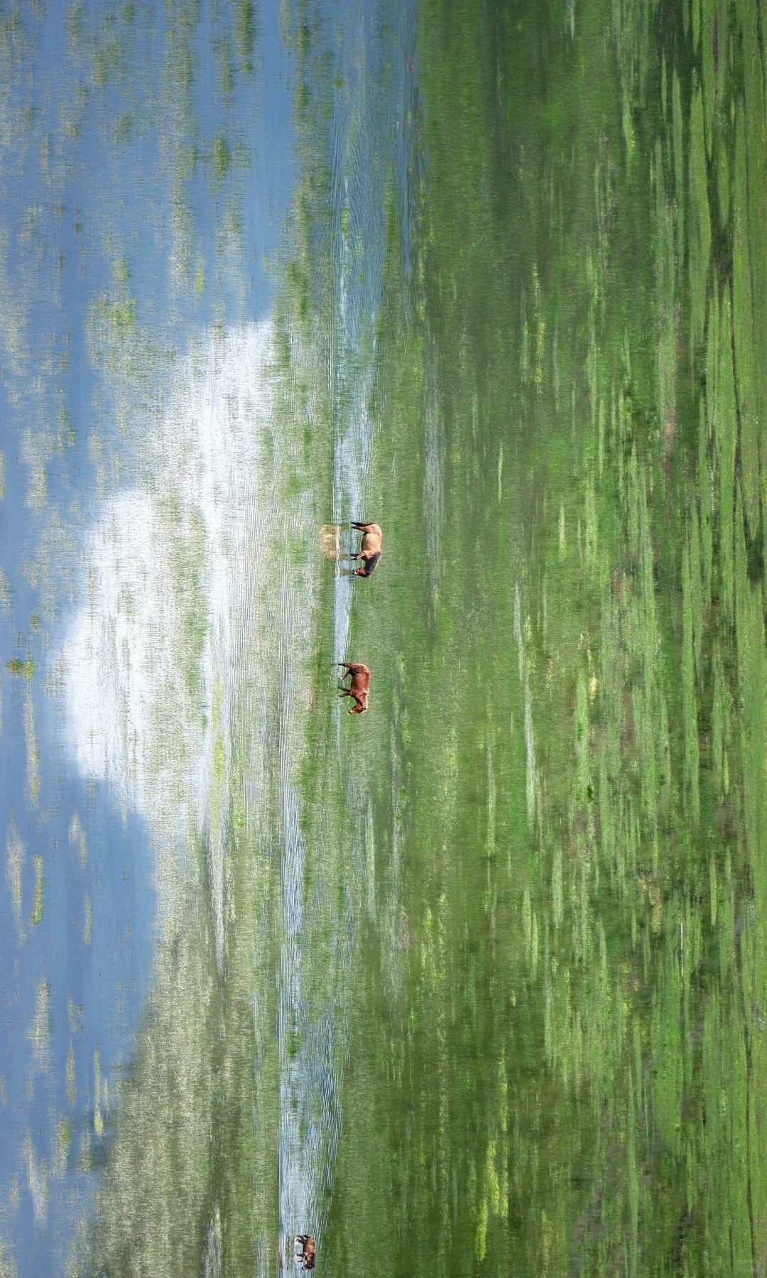 留在湖畔